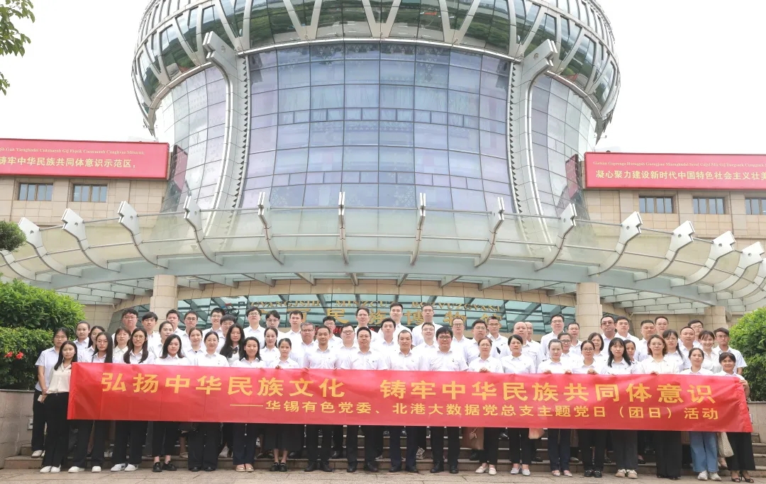 铸牢中华民族共同体意识丨15vip太阳集团、北港大数据组织开展联学联建主题党（团）日活动